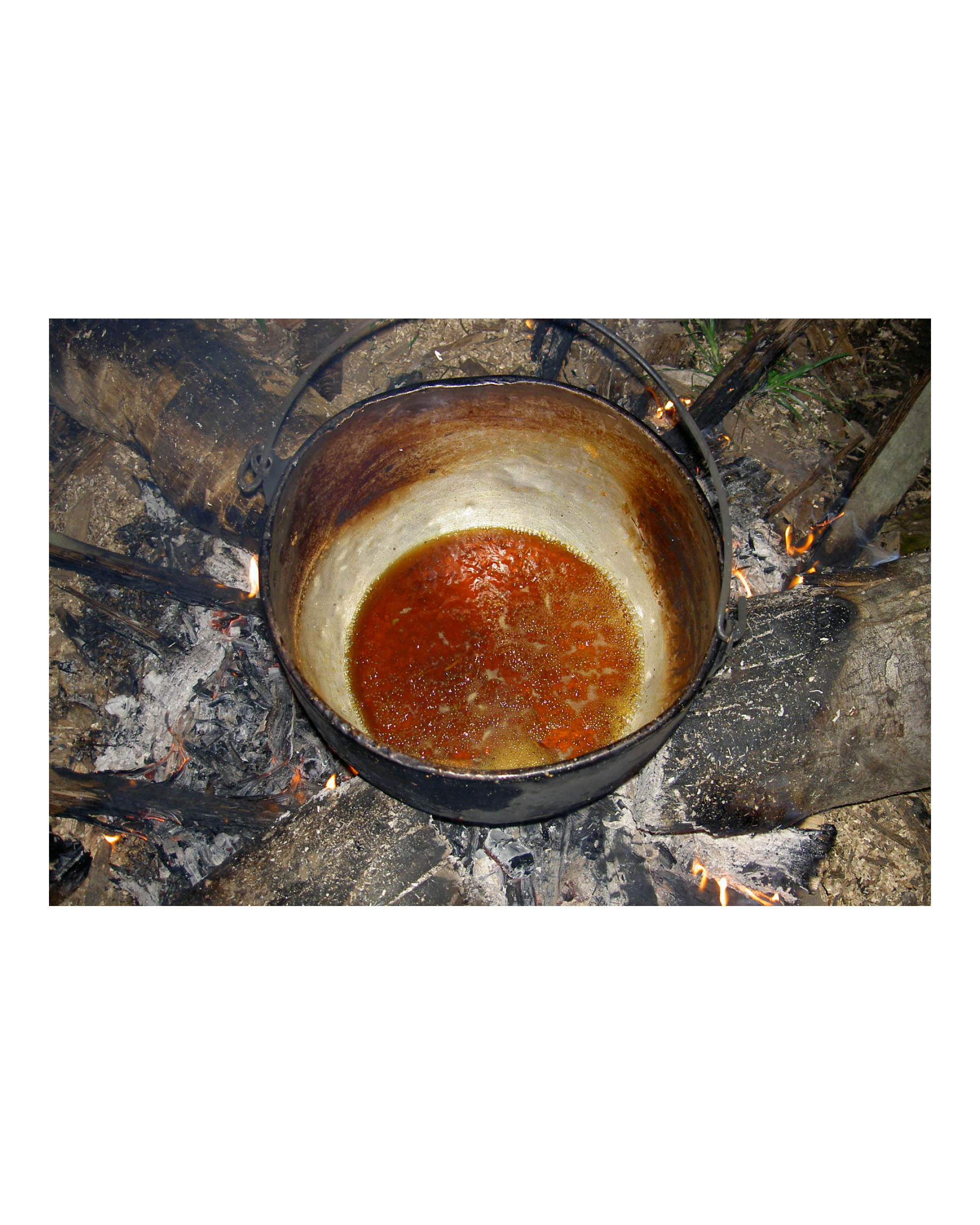 Brewing Ayahuasca - made from the caapi vine and the chacruna shrub.