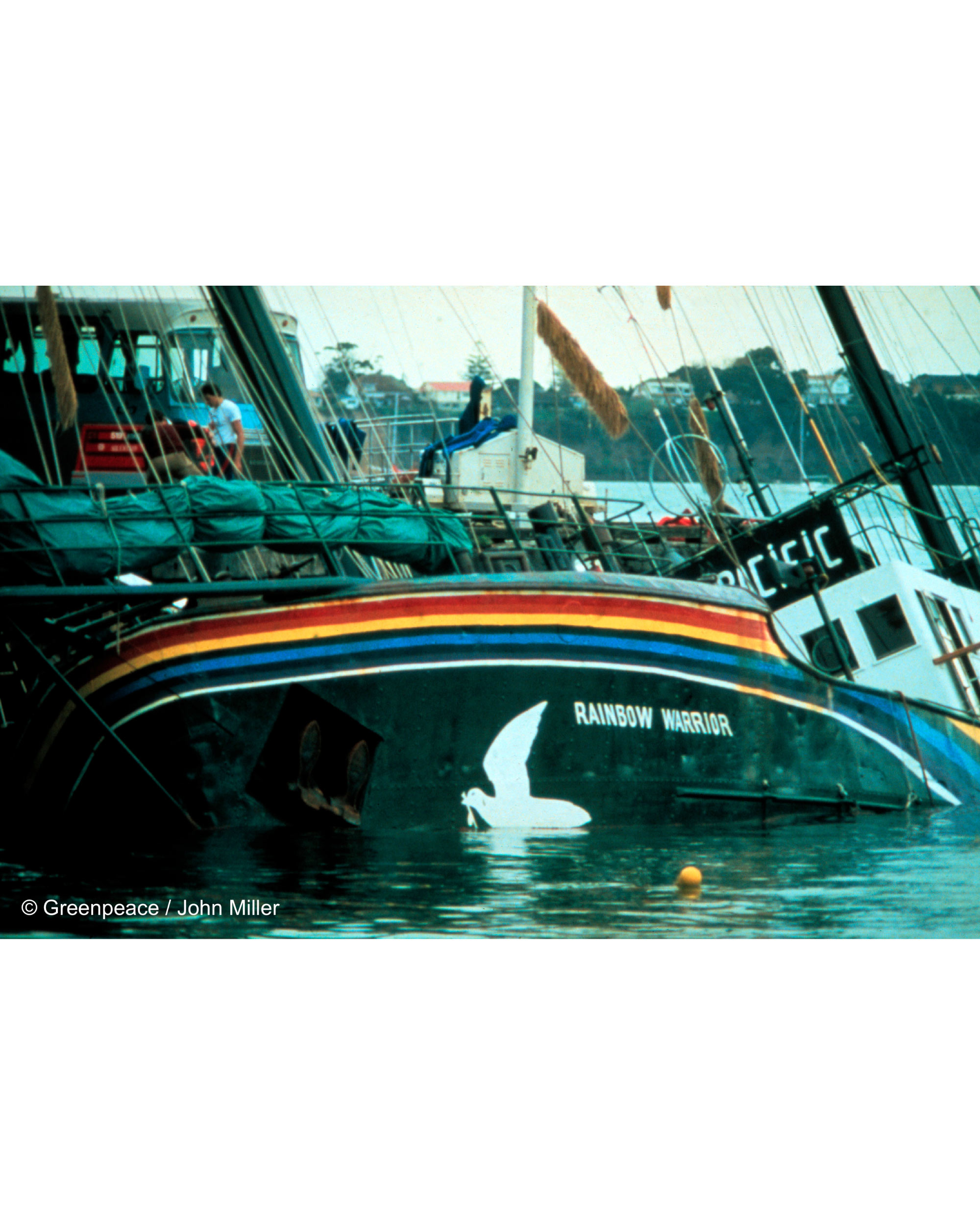The Rainbow Warrior in New Zealand after the bombing by French Secret Service Agents. Image courtesy of Greenpeace.