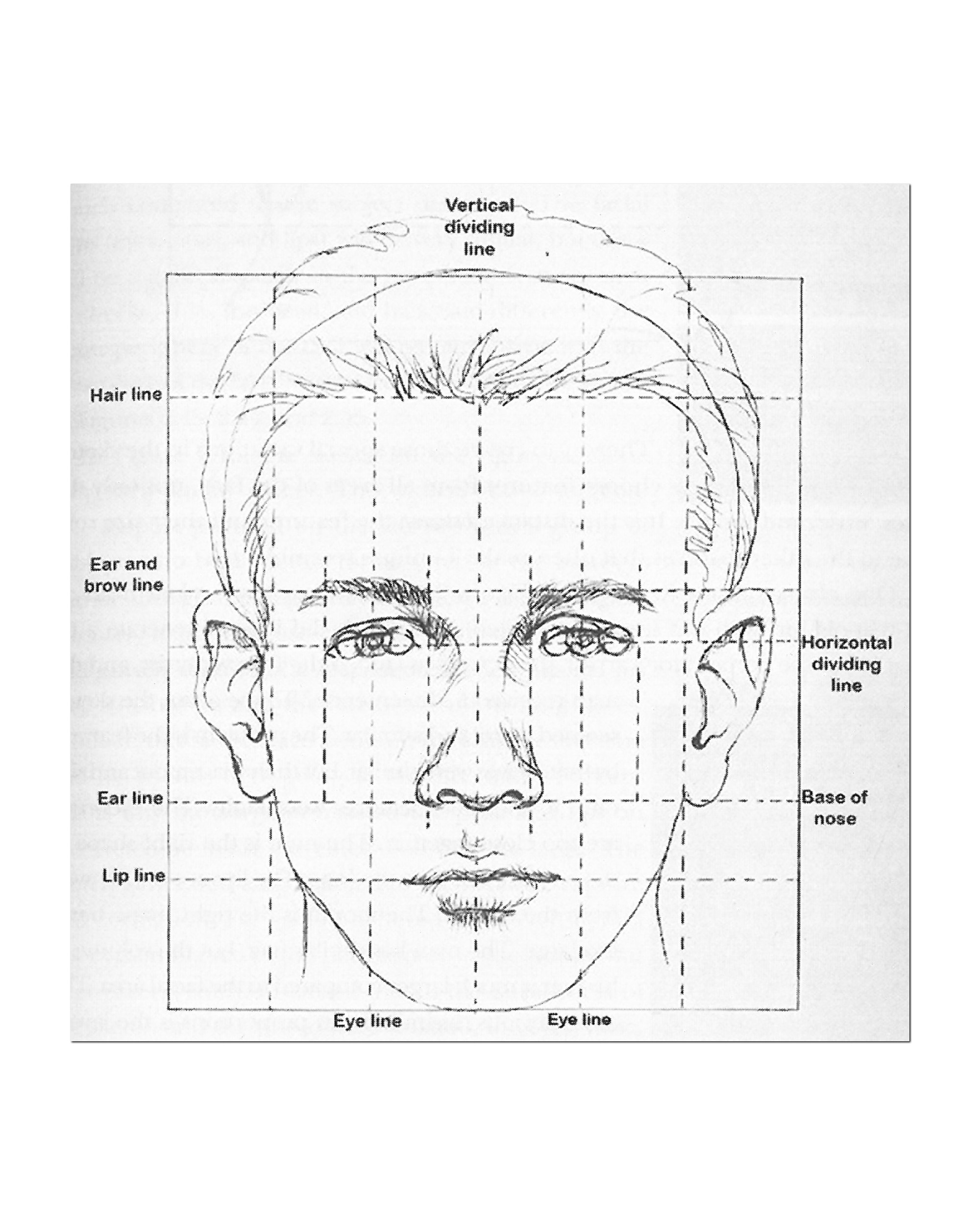 Facial proportion template. Image courtesy of Lois Gibson.
